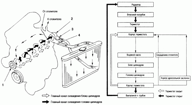 Система охлаждения Nissan Almera (nissan_almera_1.gif)